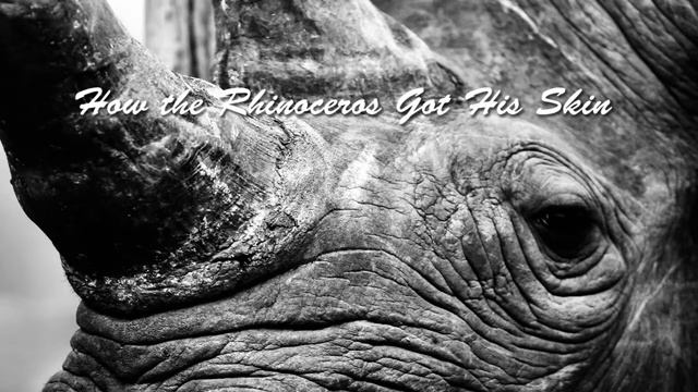 How the Rhinoceros Got His Skin смотреть онлайн