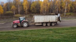 Внесение навоза на поля трактором Massey Ferguson 7722S с прицепом Fliegl ASW 381 и Т-150 с ПСП-15!
