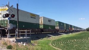 Trains Galore! Steam Trains, Diesel, Electric, Amtrak Trains, Tourist, Freight, Trolley Rare Trains