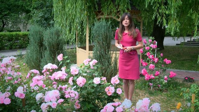 Artкод. 14.06.2018 смотреть онлайн