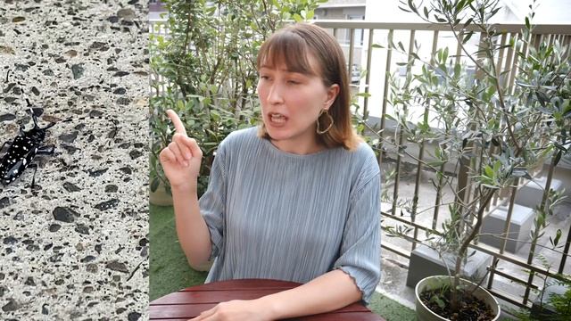 Насекомые в Японии с которыми придётся иметь дело смотреть онлайн