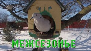 Когда ружьё в сейфе