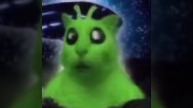 TESTTESTTEST смотреть онлайн