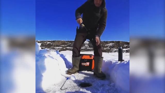 Рыба мечты смотреть онлайн