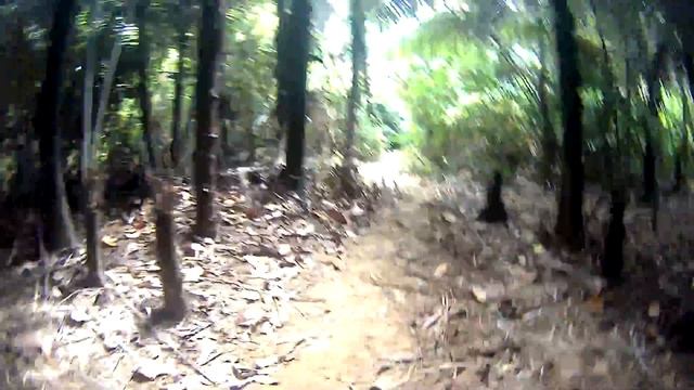 Javan Rhino Poo смотреть онлайн