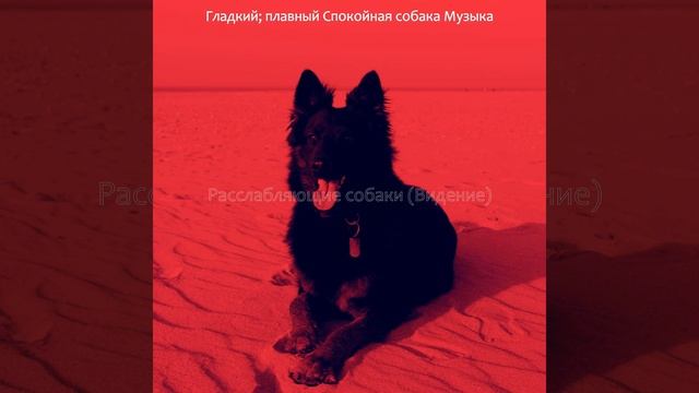 Мечты (Спящая собака) смотреть онлайн
