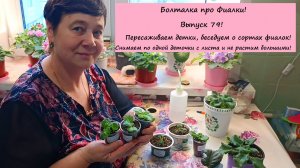 Болталка про Фиалки! Выпуск 79! Пересаживаем детки, беседуем о сортах фиалок!