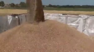 Комбайн зерноуборочный BIZON Z 020