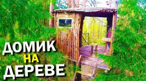 Как построить ДОМИК на Дереве за 1 ГОД