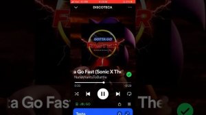 Gotta go fast(Sonic x theme)