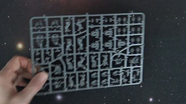 Primaris $35 Combat Squads Multi-Part Kit REVIEW смотреть онлайн