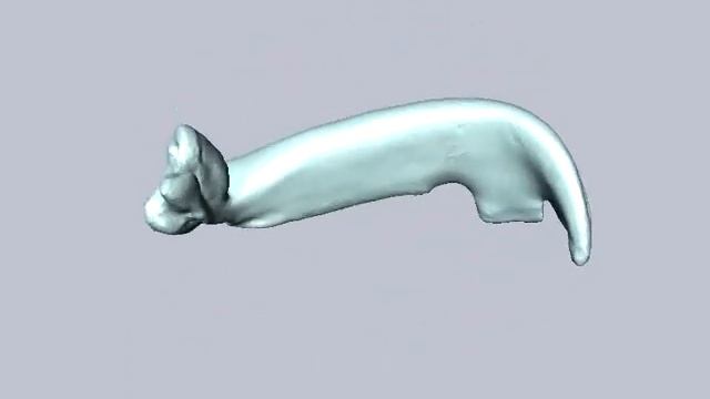 3D Model Of A Trap-jaw Ant Mandible