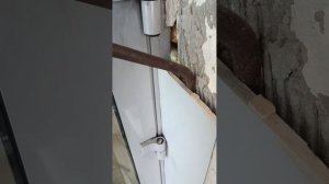 Чтобы нормально отрегулировать дверь из алюминия её нужно демонтировать и усилить порог