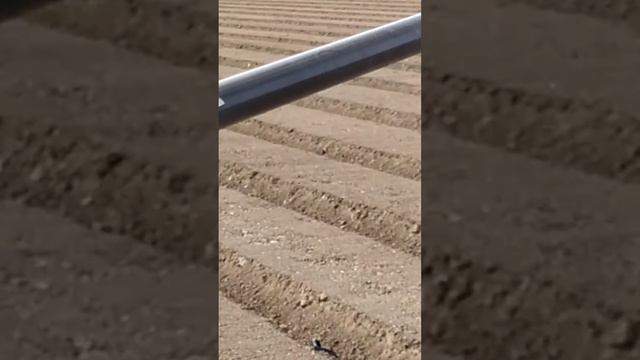 18 сентября 2020 г.