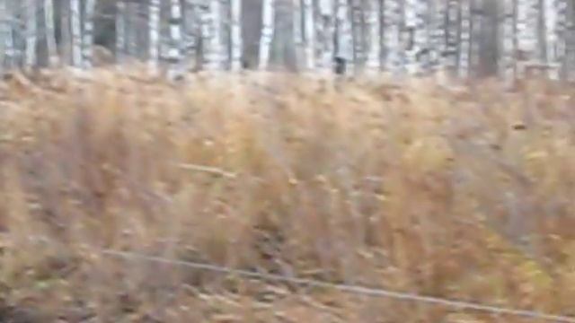 Взятие точек №№39, 11, 24 (БОЛОТО) смотреть онлайн
