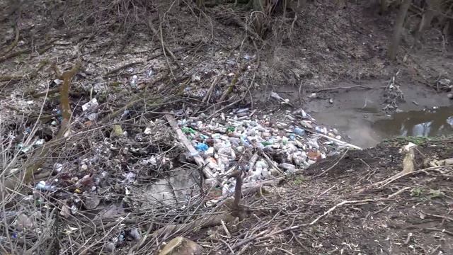 Плотина имени Панова. Петровский парк города Ельца. смотреть онлайн