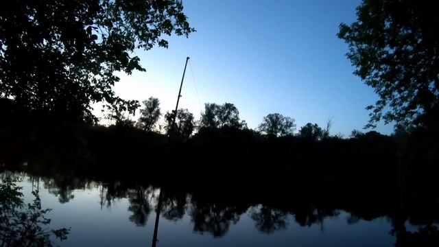 Ловля сома на голавля и окуня. Заброс живца с помощью двух удилищ