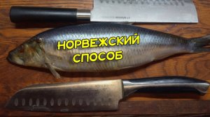 Как почистить селедку от костей. Норвежец показал их способ разделать селедку на филе