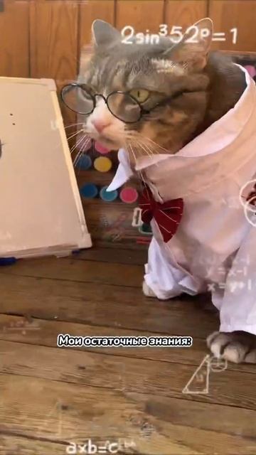 Каникулы кончились | КОНТРОЛЬНЫЕ | ШКОЛА |