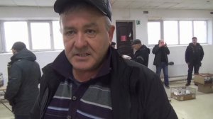 ЯРМАРКА ГОЛУБЕЙ В УФЕ. 15 МАРТА 2025 ГОДА. ЧАСТЬ 2.