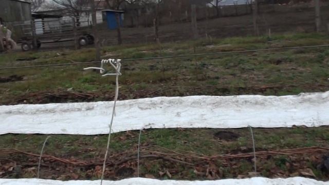 Укриття винограду тунельним способом. смотреть онлайн