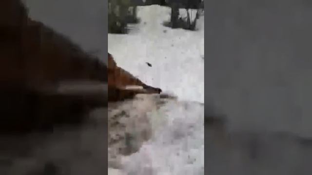 п. Урал