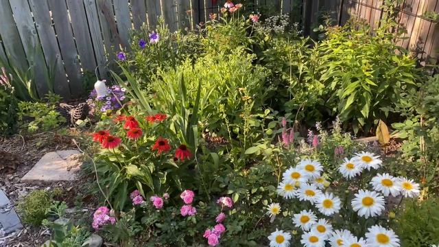 Weekly Garden Tour // Let’s Take A Walk In My Garden And See Whats Blooming🌸 🌿