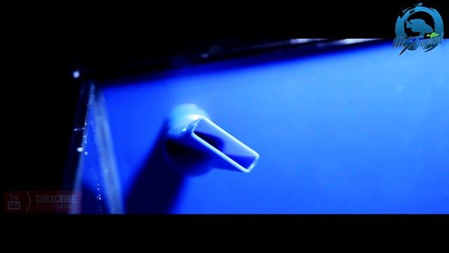 MSTropical | TIANRUN Aquarium 18L смотреть онлайн