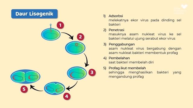 BIOLOGI SMA Kelas 10 - Virus | GIA Academy смотреть онлайн