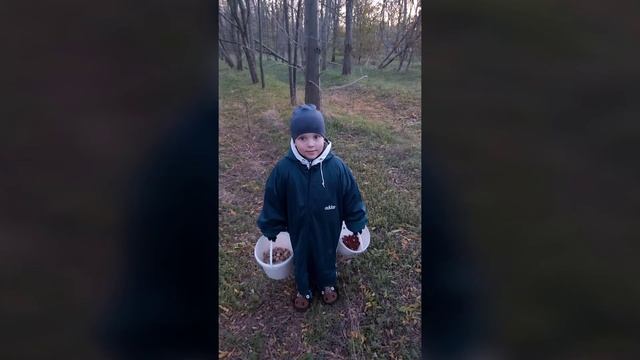 Первый карантин выходных дней удался!