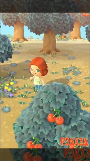 Первый заработок на острове. РэдХэд. Animal Crossing: New Horizonsmal, прохождение игры. смотреть онлайн