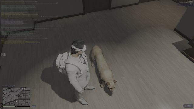 Баг дрессировки