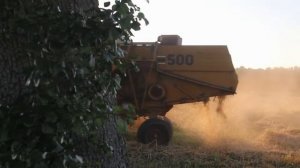 Уборка пшеницы на огороде комбайном Sampo 500