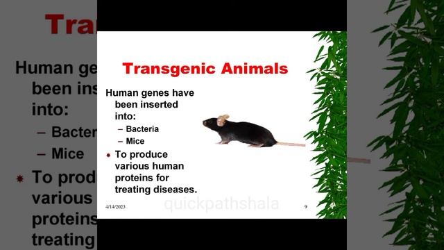 Genetic Engineering Ppt Presentation Seminar смотреть онлайн