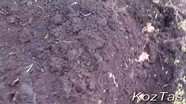 супер грядка картошка смотреть онлайн