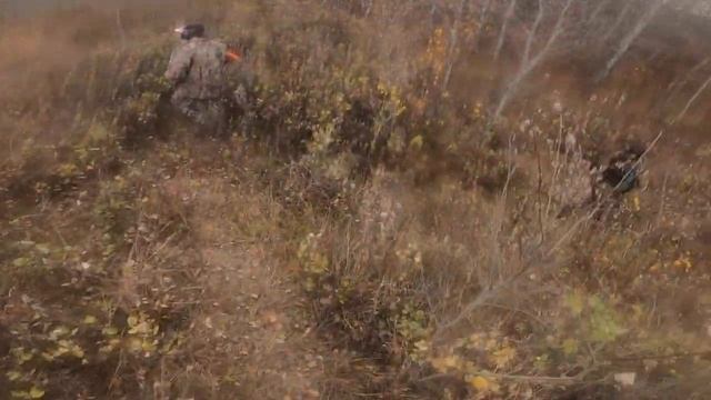 Tacamo AK-12 Paintball Gun Gameplay смотреть онлайн