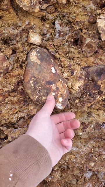 Look At This Large Gossanous Outcrop! смотреть онлайн