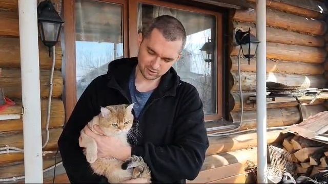 Буся и Лёва, котята 2025 март смотреть онлайн