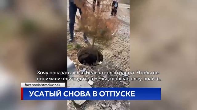 Усатый снова в отпуске смотреть онлайн