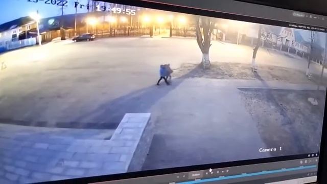 Пропавших в Краснобаковском районе детей нашли спящими в кустах смотреть онлайн