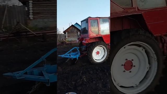 Т-25. Мой первый опыт. Вспахал огород. смотреть онлайн