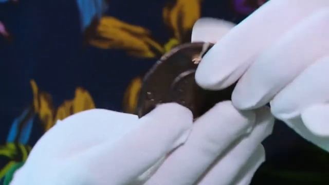 Телепроект ГУП УР ТРК «Удмуртия» "Семейный совет" Петровы—Репниковы 29 10 2021 смотреть онлайн