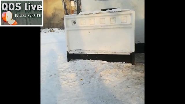 ЭКСПО в Дубае и уличные туалеты смотреть онлайн