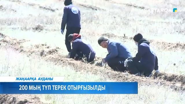 200 МЫҢ ТҮП ТЕРЕК ОТЫРҒЫЗЫЛДЫ смотреть онлайн