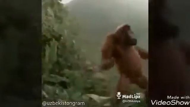 Prikollar Ooo Nana