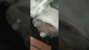 замена передней ступицы колеса на ваз 2106