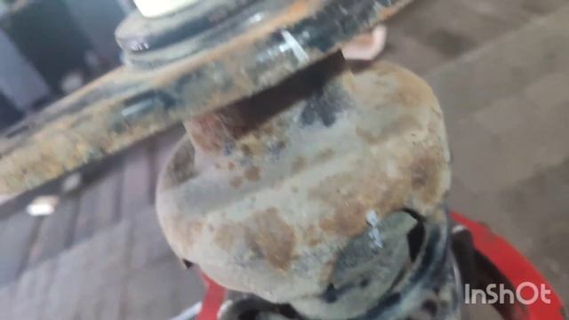 European Auto Enthusiast Zone