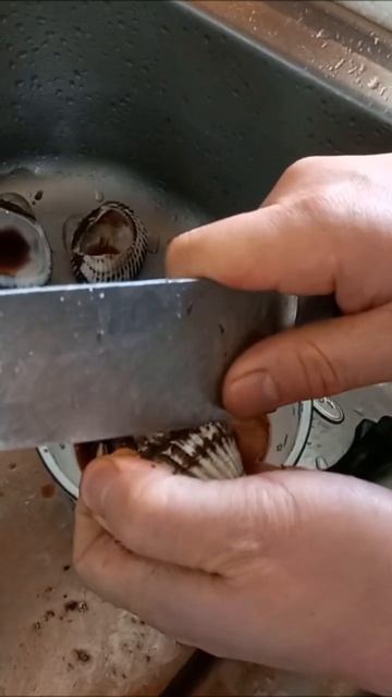 피조개 이렇게도 깐다~#shorts смотреть онлайн