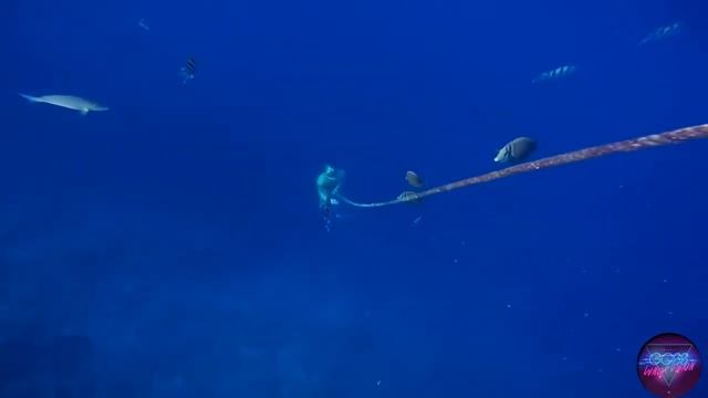 ФРИДАЙВИНГ НА ГЛУБИНЕ З0 МЕТРОВ! FREEDIVING