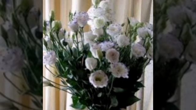 Прекрасные растения! Подборка 🌷 смотреть онлайн